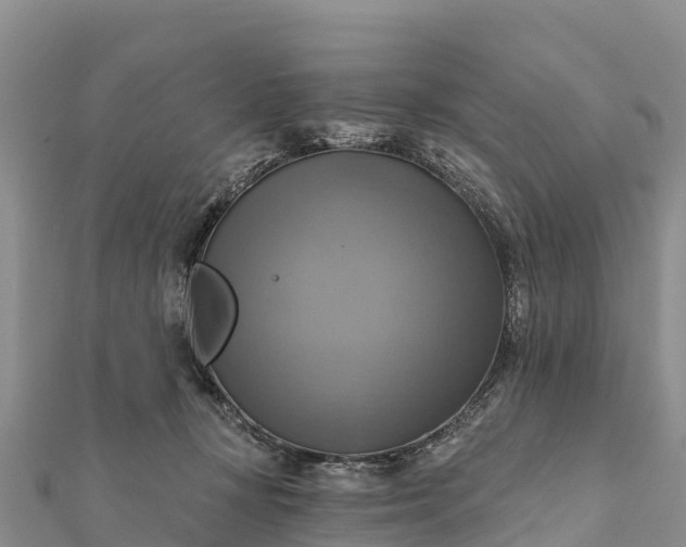 X0000112100367200908181330