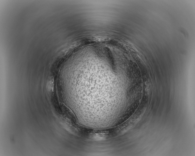 X0000112100368200908181330