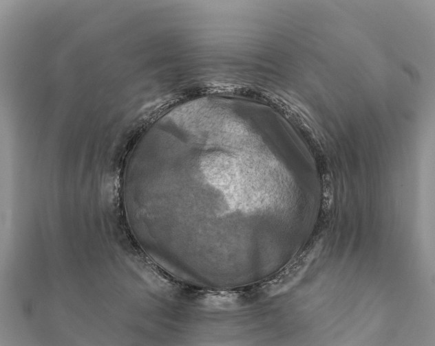 X0000112100369200908181330