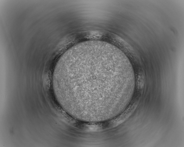 X0000112100370200908181330