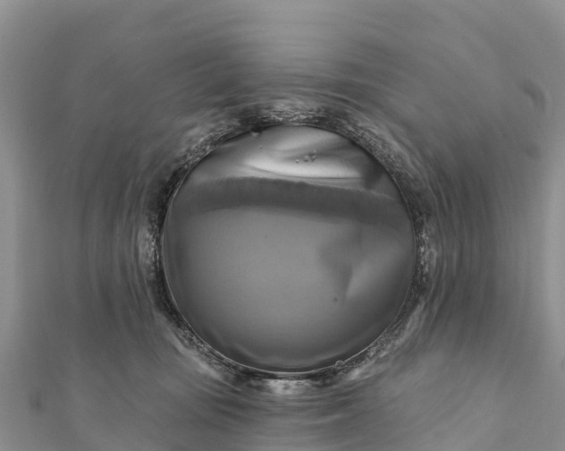 X0000112100371200908181330