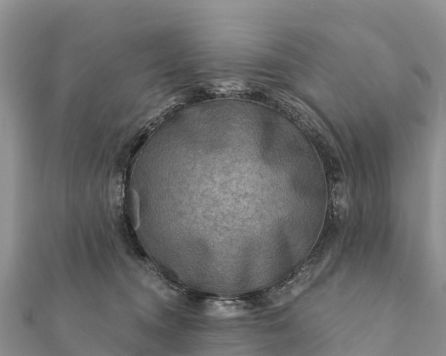 X0000112100372200908181331