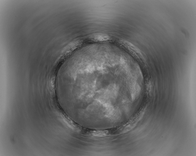 X0000112100373200908181331