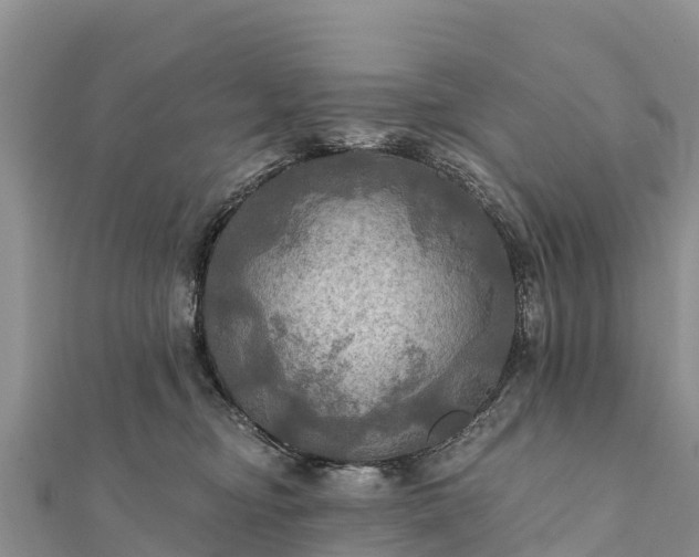 X0000112100374200908181331