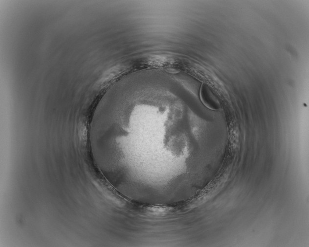 X0000112100375200908181331