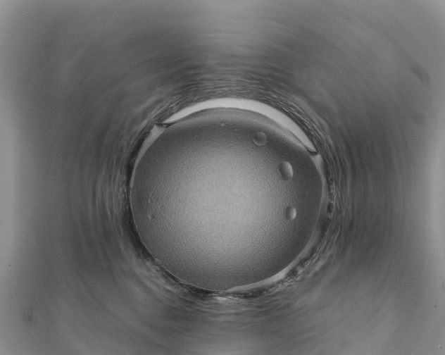 X0000112100376200908181331