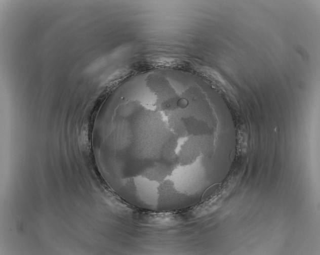 X0000112100377200908181331