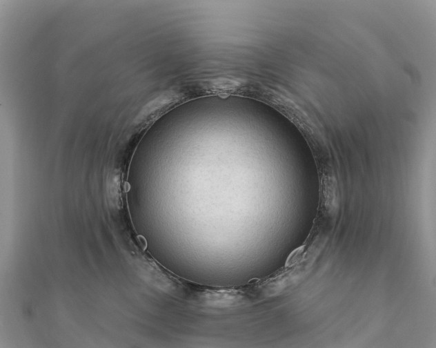 X0000112100378200908181331