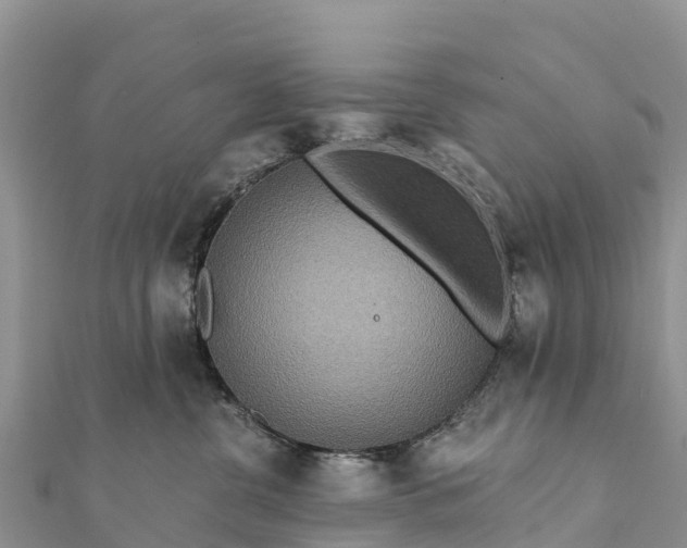 X0000112100380200908181331