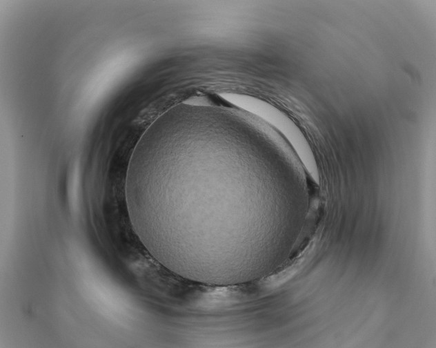 X0000112100382200908181331