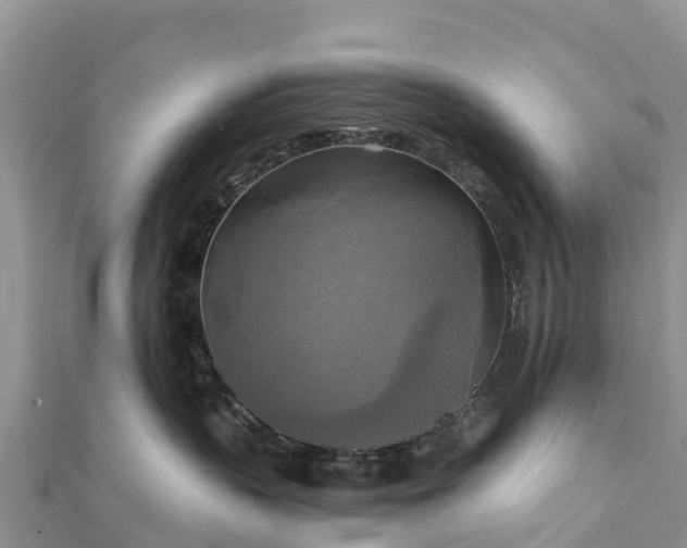 X0000112100383200908181331