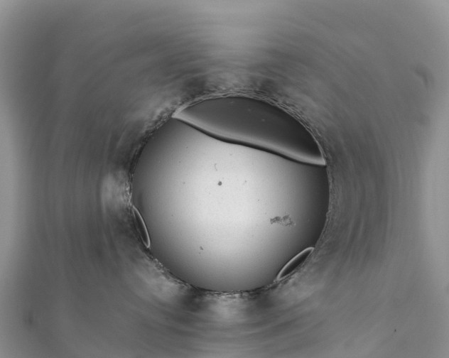 X0000112100384200908181331