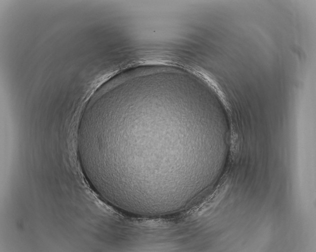 X0000112100385200908181330