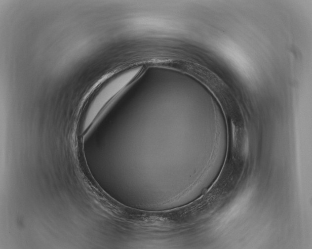 X0000112100387200908181330