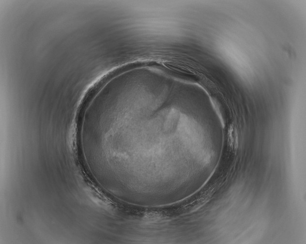 X0000112100388200908181330