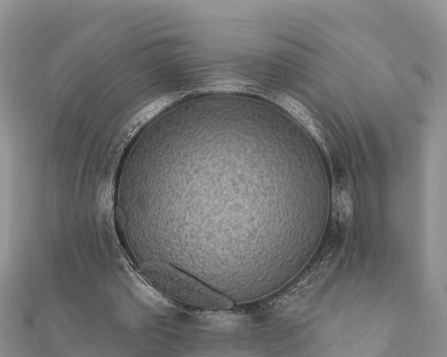 X0000112100389200908181330