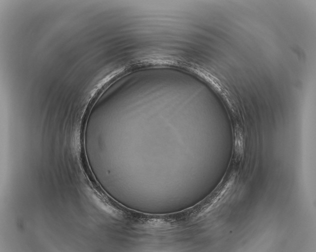 X0000112100390200908181330