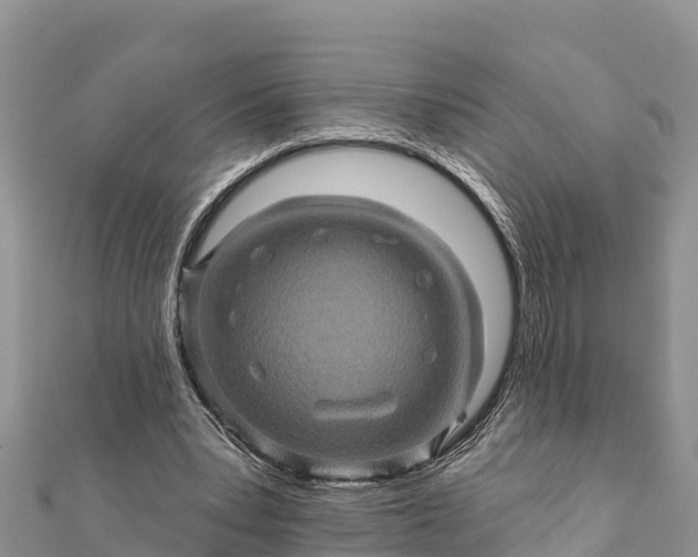 X0000112100391200908181330