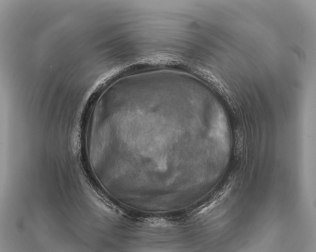 X0000112100392200908181330