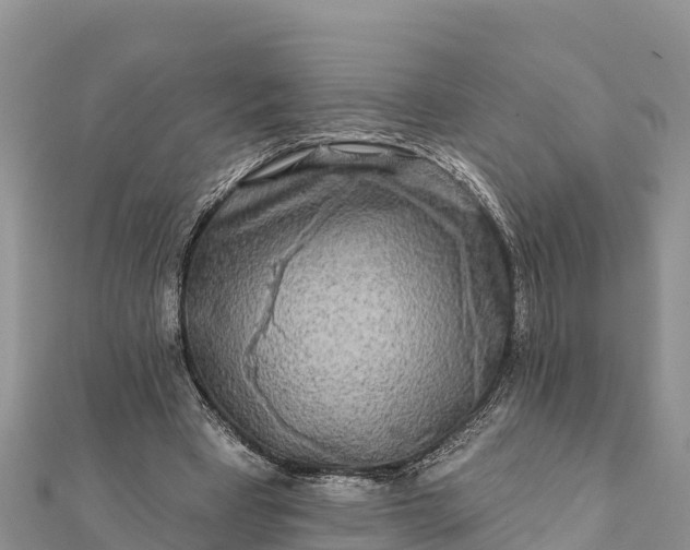 X0000112100393200908181330