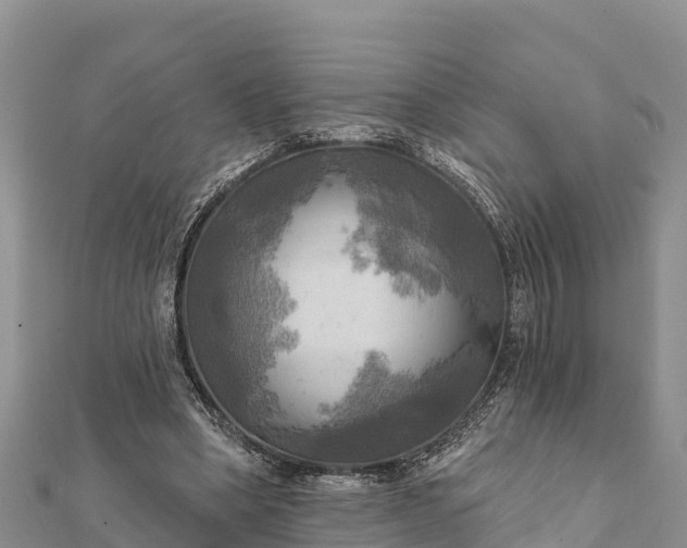 X0000112100394200908181330