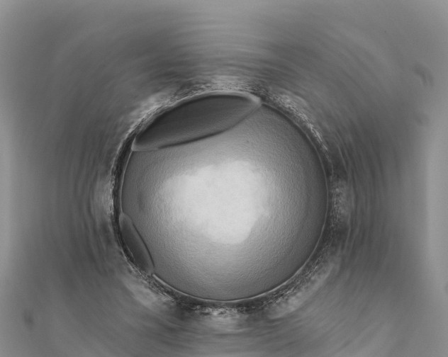 X0000112100395200908181330