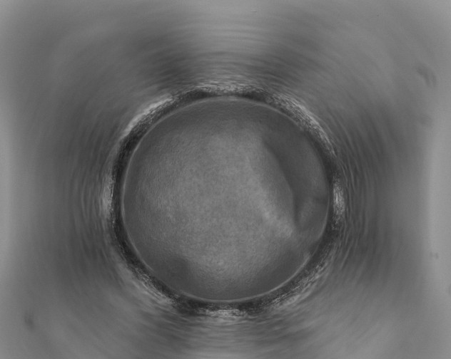 X0000112100396200908181330