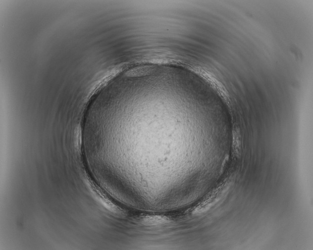 X0000112100397200908181330