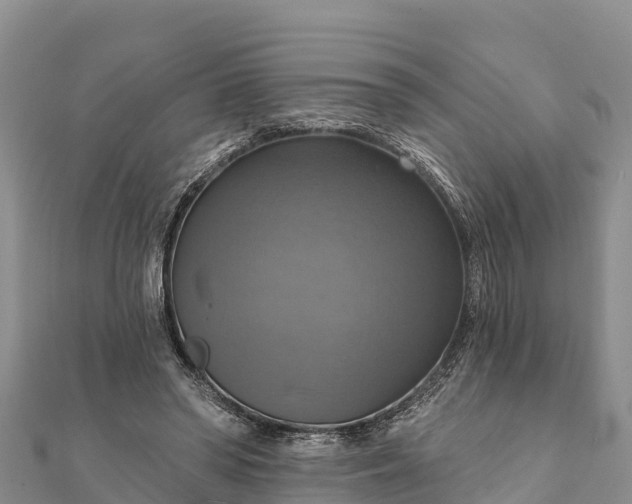 X0000112100398200908181330