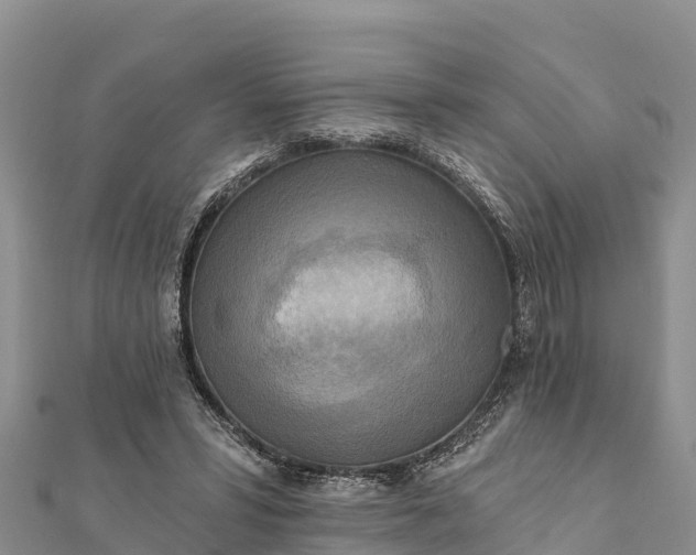 X0000112100399200908181330