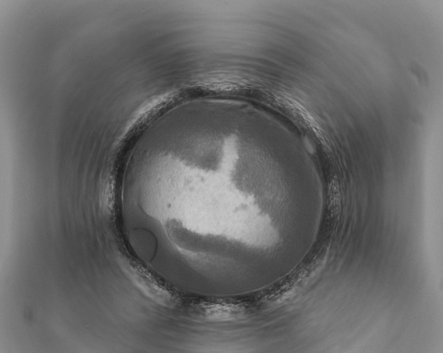 X0000112100400200908181330