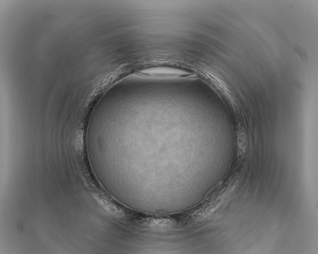 X0000112100401200908181330