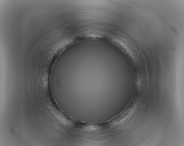 X0000112100402200908181330