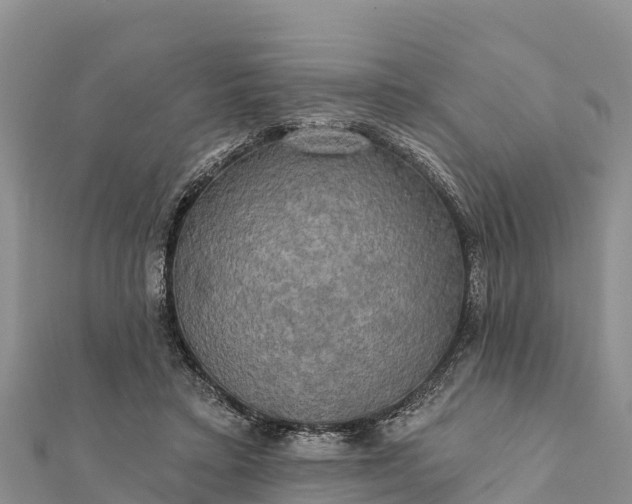 X0000112100403200908181330