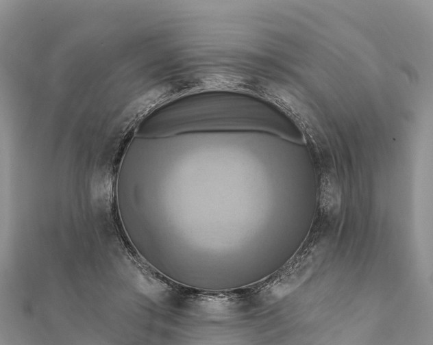 X0000112100405200908181330