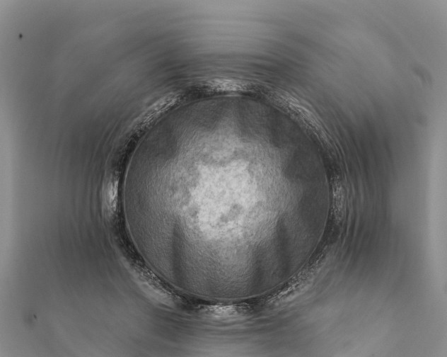 X0000112100406200908181330