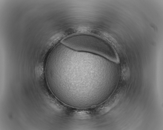 X0000112100407200908181330