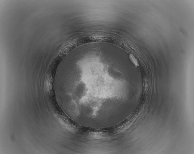 X0000112100408200908181330