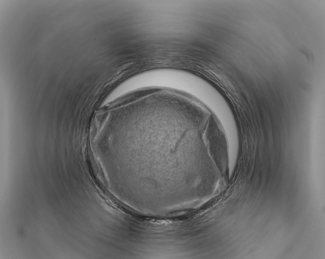 X0000112100409200908181330