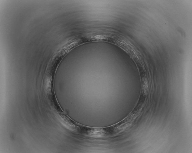 X0000112100410200908181330