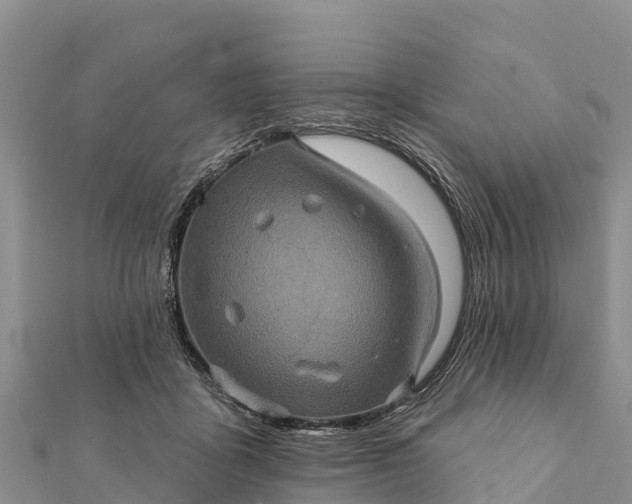 X0000112100411200908181330