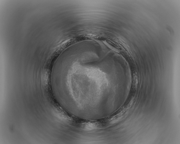 X0000112100412200908181330