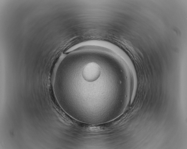 X0000112100413200908181330