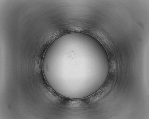 X0000112100414200908181330