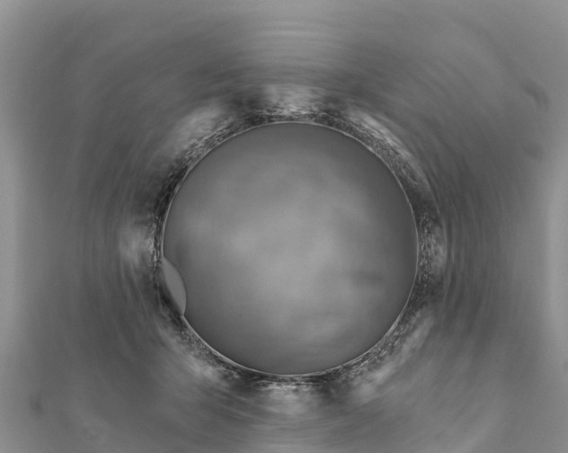 X0000112100415200908181330