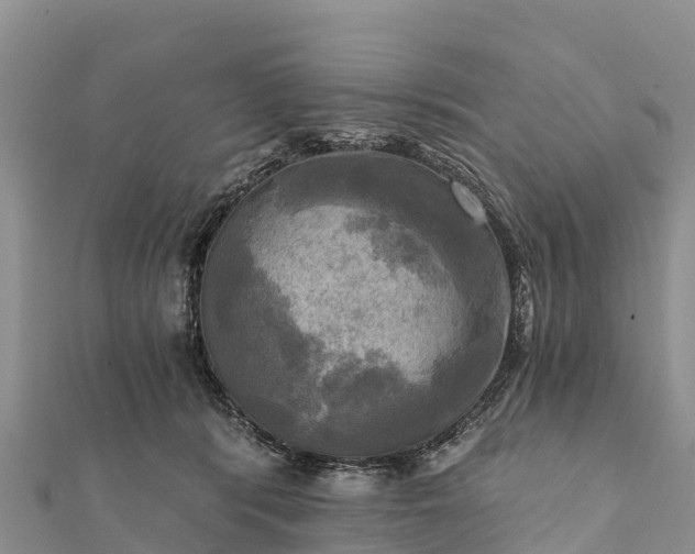 X0000112100416200908181330