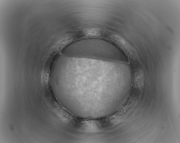 X0000112100417200908181330