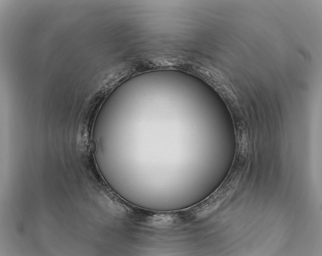 X0000112100418200908181330