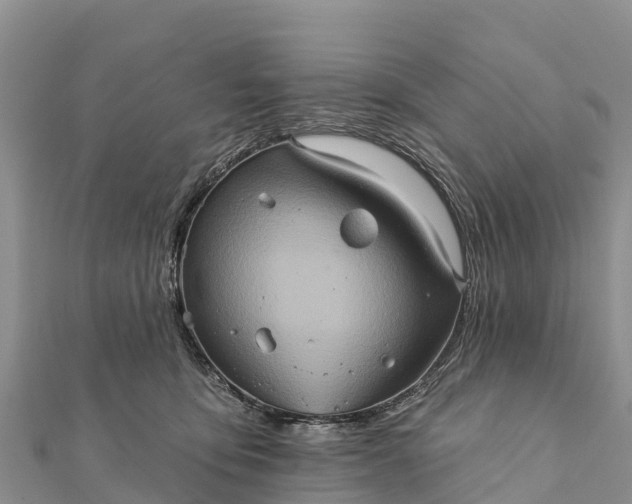 X0000112100419200908181330