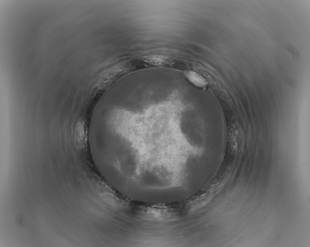 X0000112100420200908181330